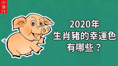 豬2024運勢 清朝入關